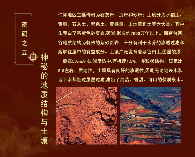 卡盒经典款(图8)