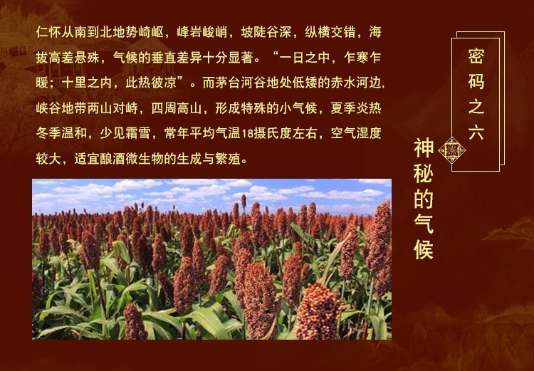 卡盒经典款(图9)