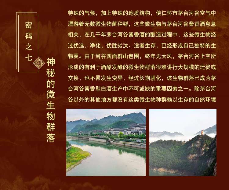 卡盒经典款(图10)