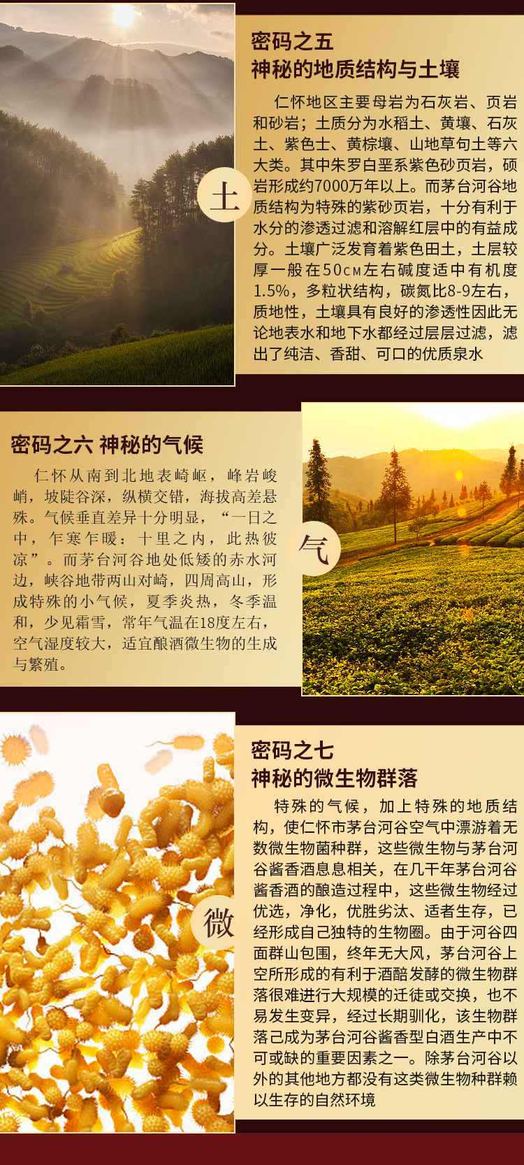 臻藏经典款(图7)